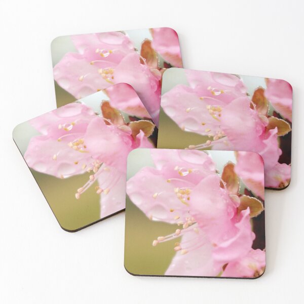 Item preview, B L O S S O M designed and sold by Penny Kittel.