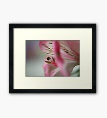 Within reach..... Framed Print