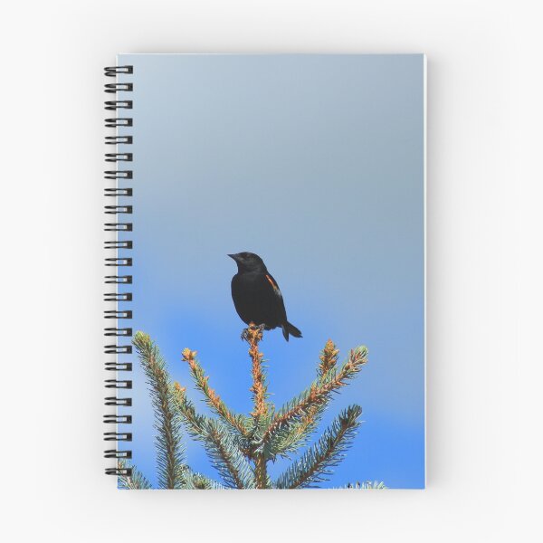 Item preview, Red Winged Blackbird on a Spruce Tree designed and sold by rhamm.