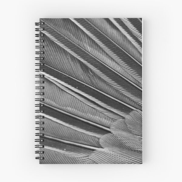 Item preview, Black & White Feather Closeup Print designed and sold by chocolatemouse.