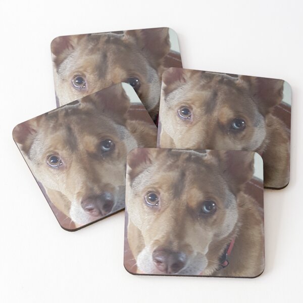 Item preview, Service dog wants to play ball designed and sold by JRHarshman.