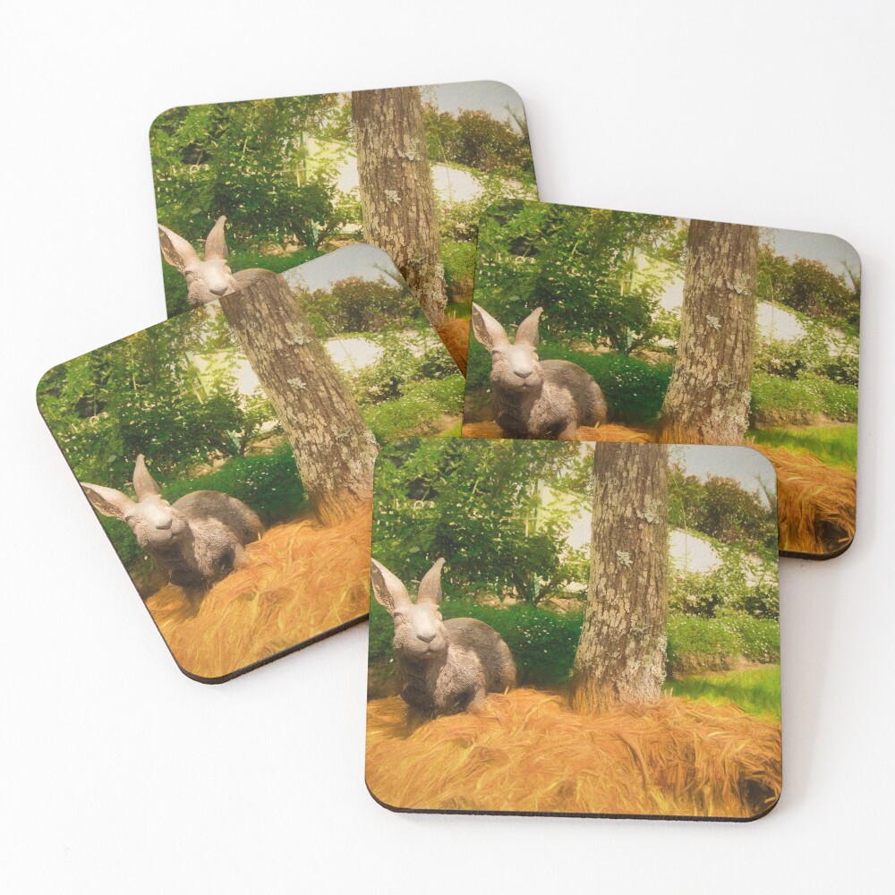 Item preview, Coasters (Set of 4) designed and sold by cazzazsnapz.