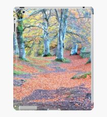 beech wood iPad Case/Skin