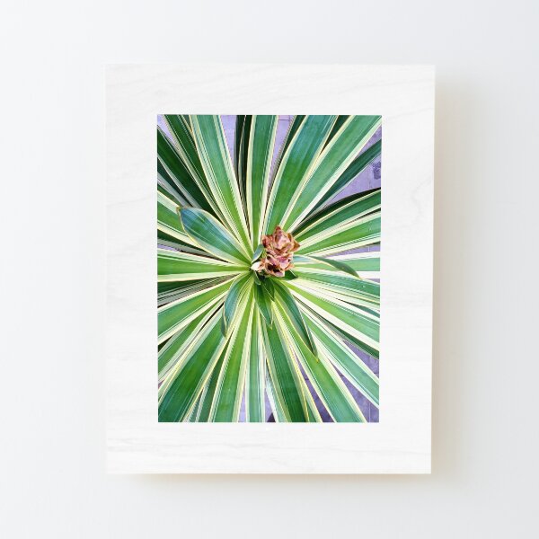 tropic plant Wood Mounted Print