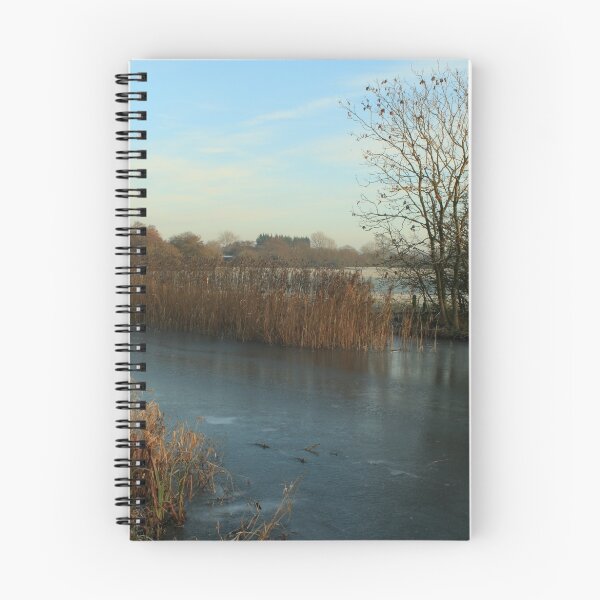 Item preview, FROZEN designed and sold by andrewsaxton.