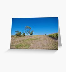 Cane farm Greeting Card