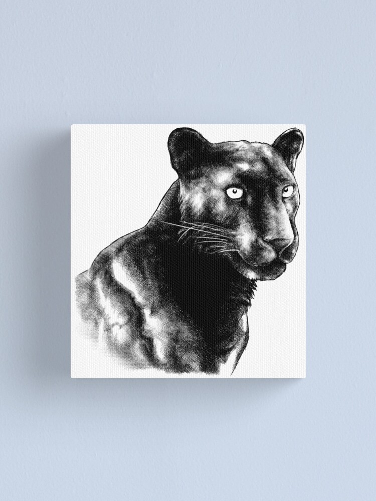 Black Panther Animal Portrait black and white (light background) Black Panther Animal Portrait black and white (light background)