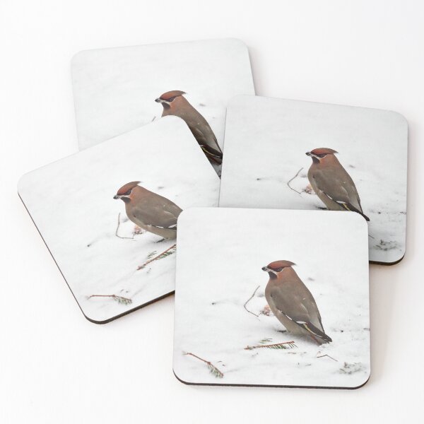 Item preview, Bohemian waxwing on snow designed and sold by Jouko Lehto Photography.