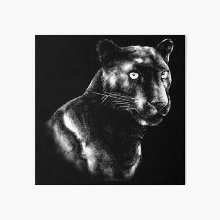 Artikel-Vorschau von Schwarzer Panther Tierporträt Schwarzweiss (dunkler Hintergrund), designt und verkauft von MMMSdesigns.