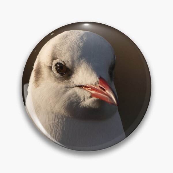 Item preview, Black Headed Gull designed and sold by cmphotographs.