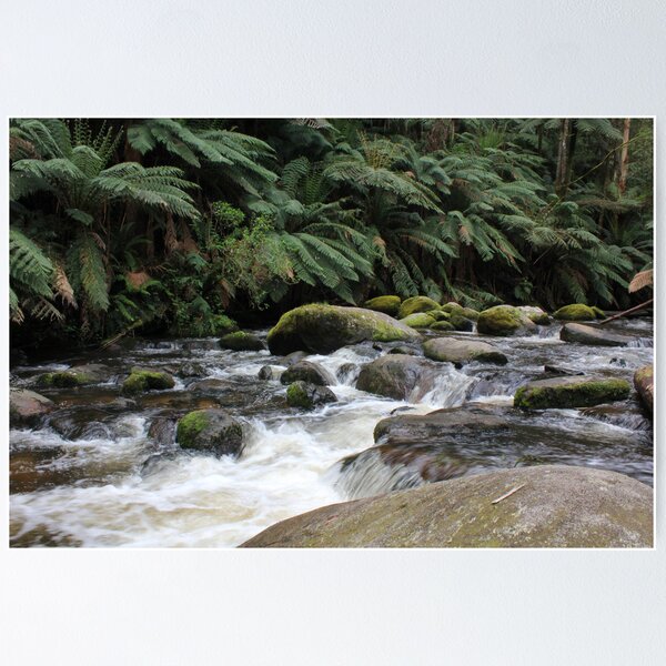 Item preview, Toorongo River near Noojee 3 designed and sold by Charles Kosina.