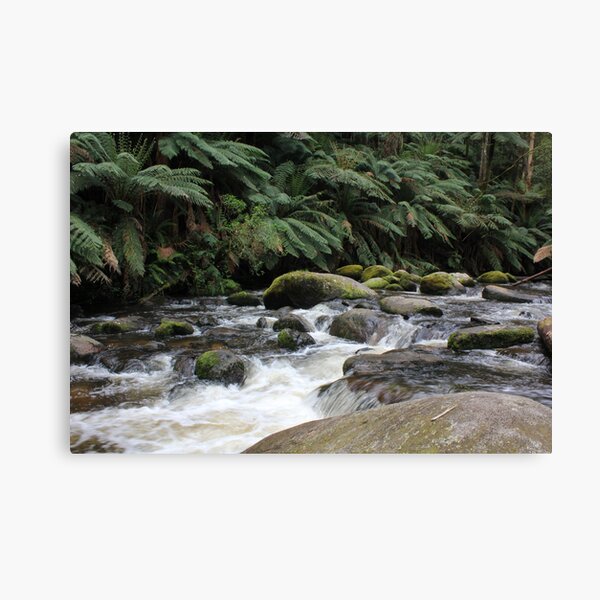 Item preview, Toorongo River near Noojee 3 designed and sold by Charles Kosina.