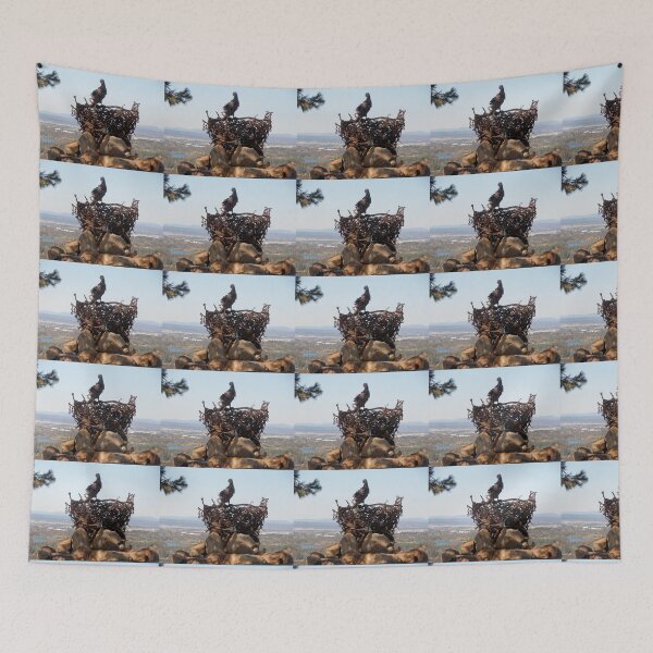 Item preview, Eagle on the Nest, National Arboretum, Canberra, Australia. designed and sold by kaysharp.