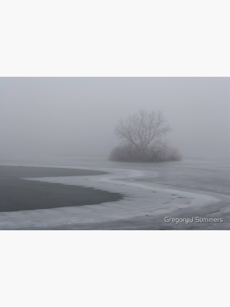 Frozen Companion by nikongreg