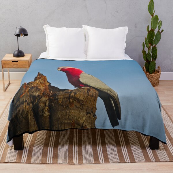 Item preview, A Pink And Grey Galah Looking Out Across The Landscape designed and sold by Jason Gilbert.