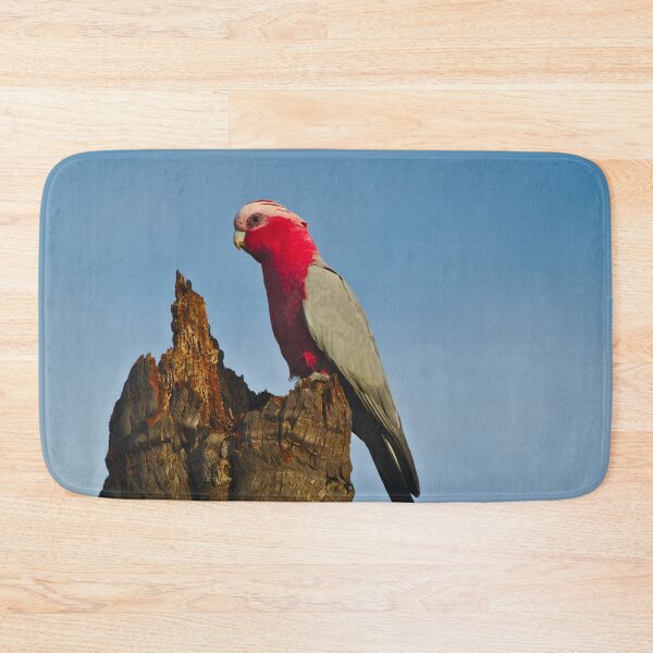 Item preview, A Pink And Grey Galah Looking Out Across The Landscape designed and sold by Jason Gilbert.