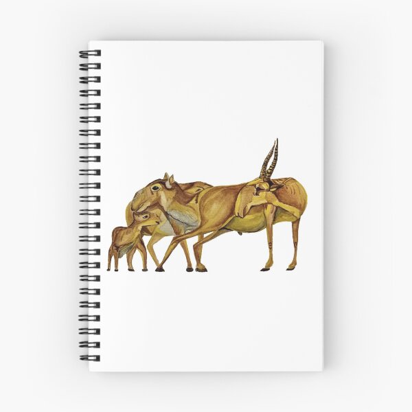 Item preview, Family of Saiga Antelope (Watercolour) designed and sold by MariaSibireva.