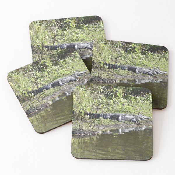 Item preview, Alligator along a River designed and sold by Kathleen Brant.