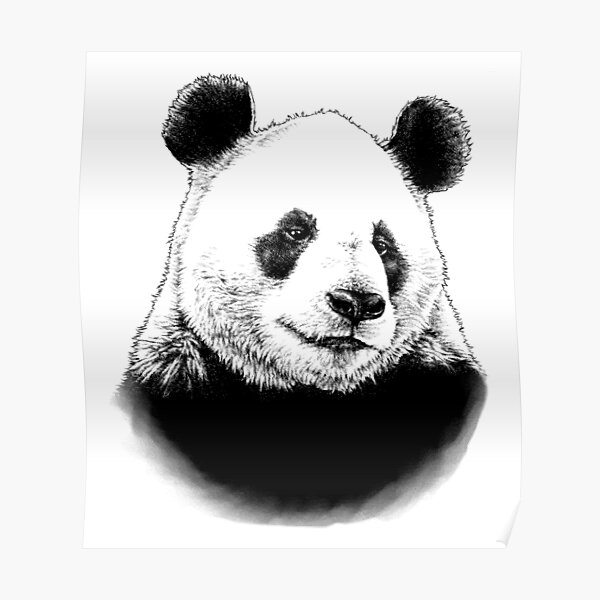 Giant Panda Animal Portrait Black And White Light Background Poster By Mmmsdesigns Redbubble