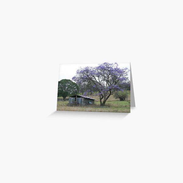 Jacaranda Tree beside a Ruin on Mt Barney Greeting Card