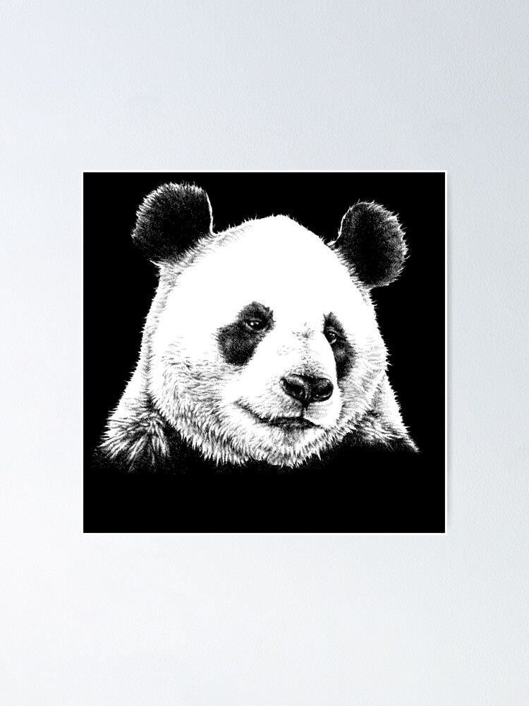 Giant Panda Animal Portrait black and white (dark background)