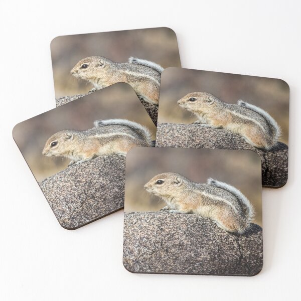 Item preview, White-tailed Antelope Ground Squirrel designed and sold by Robert Alsop.