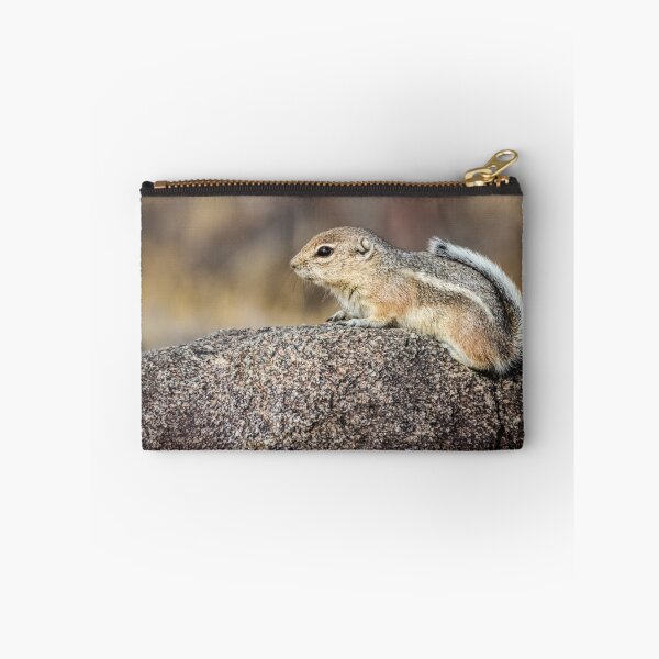 Item preview, White-tailed Antelope Ground Squirrel designed and sold by Robert Alsop.