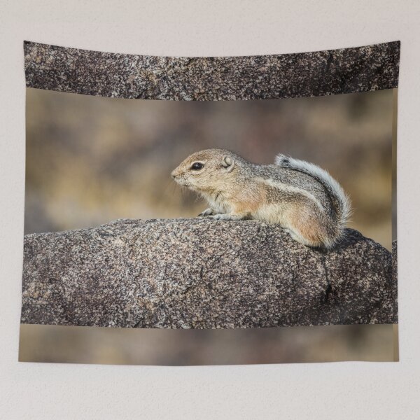 Item preview, White-tailed Antelope Ground Squirrel designed and sold by Robert Alsop.