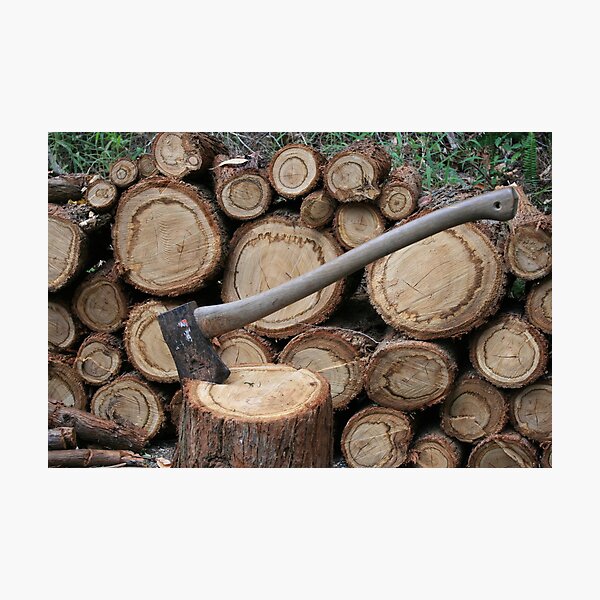 Item preview, Wood Pile designed and sold by Robyn J. Blackford.