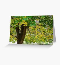 Yellow Autumn Greeting Card