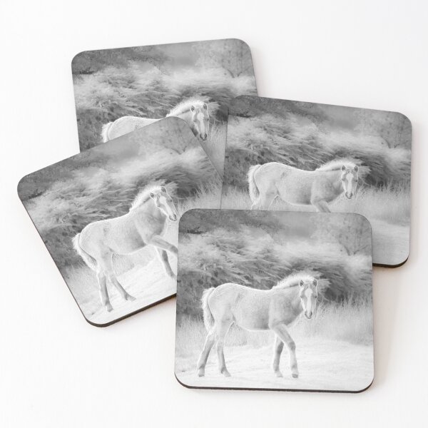 Item preview, Sweet Young Foal designed and sold by heidipics.