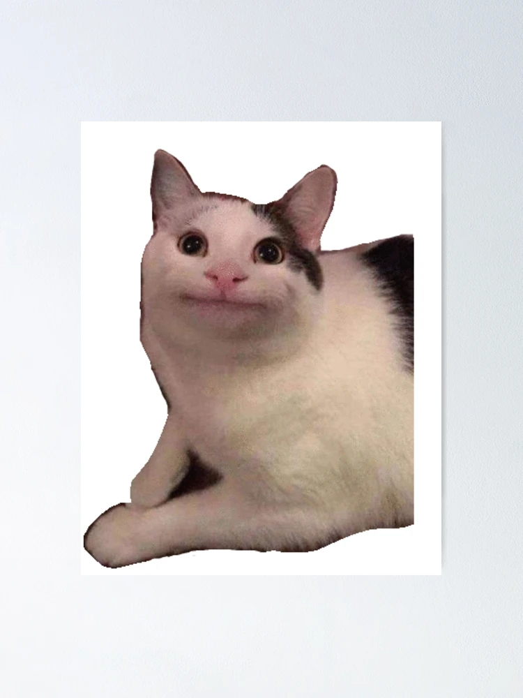 Polite Cat Meme Generator - Piñata Farms - The best meme generator