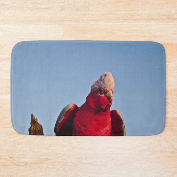 Item preview, A Pink And Grey Galah Squawking designed and sold by Jason Gilbert.