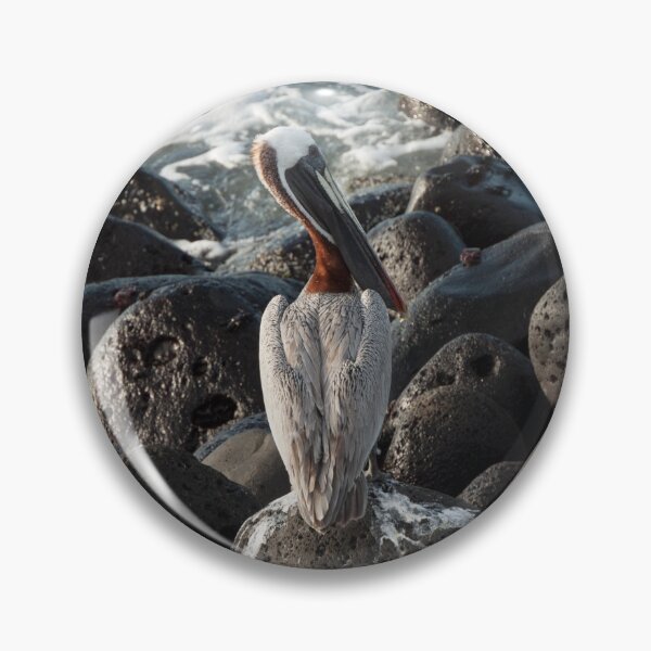 Item preview, Brown Pelican designed and sold by ShutterOwl.