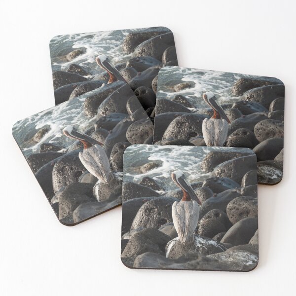 Item preview, Brown Pelican designed and sold by ShutterOwl.