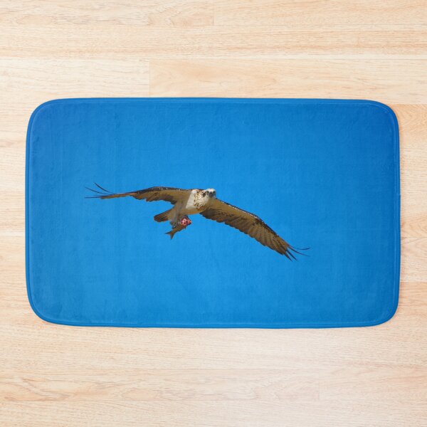 Item preview, An Osprey Flying With A Half Eaten Fish designed and sold by Jason Gilbert.