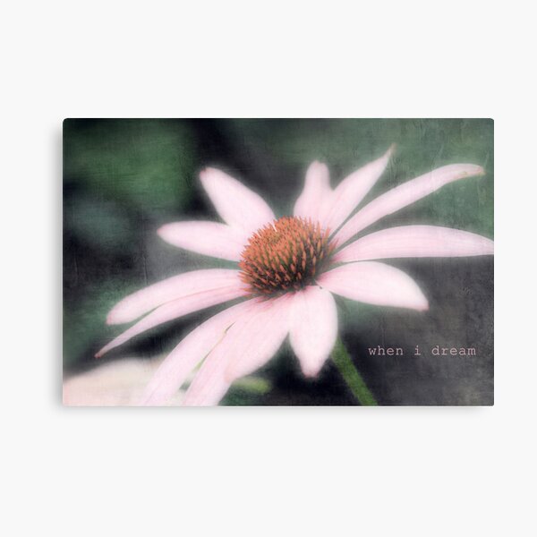 when i dream, i dream of you Metal Print