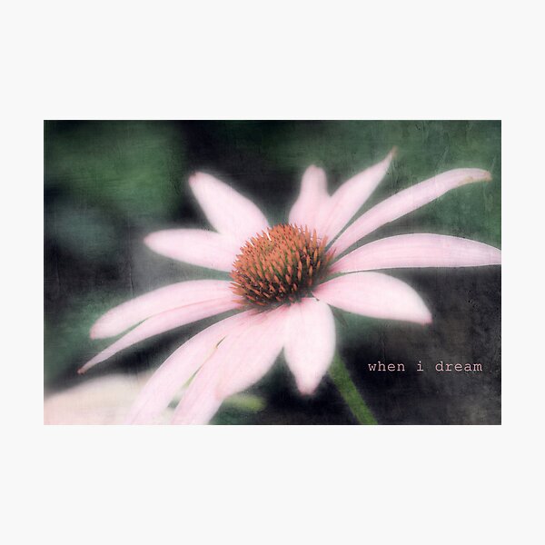 when i dream, i dream of you Photographic Print