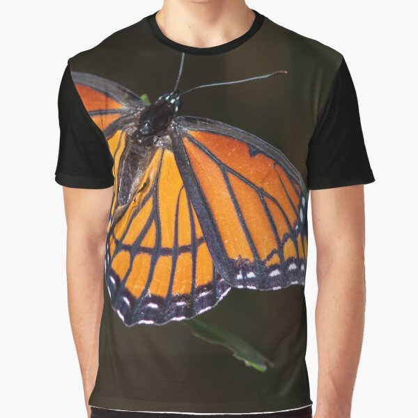 Viceroy Butterfly Graphic T-Shirt