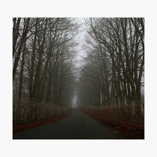 Artikelvorschau, A gloomy November day entworfen und verkauft von Trine.