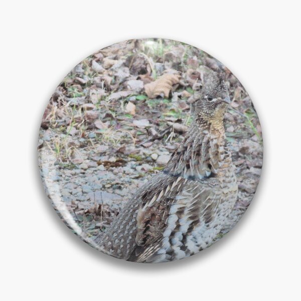 Item preview, I Spy designed and sold by Rebecca Parker.