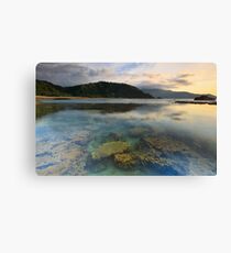 What Lies Beneath Canvas Print