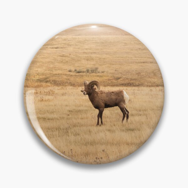 Item preview, Bighorn Sheep Ram designed and sold by ShutterOwl.