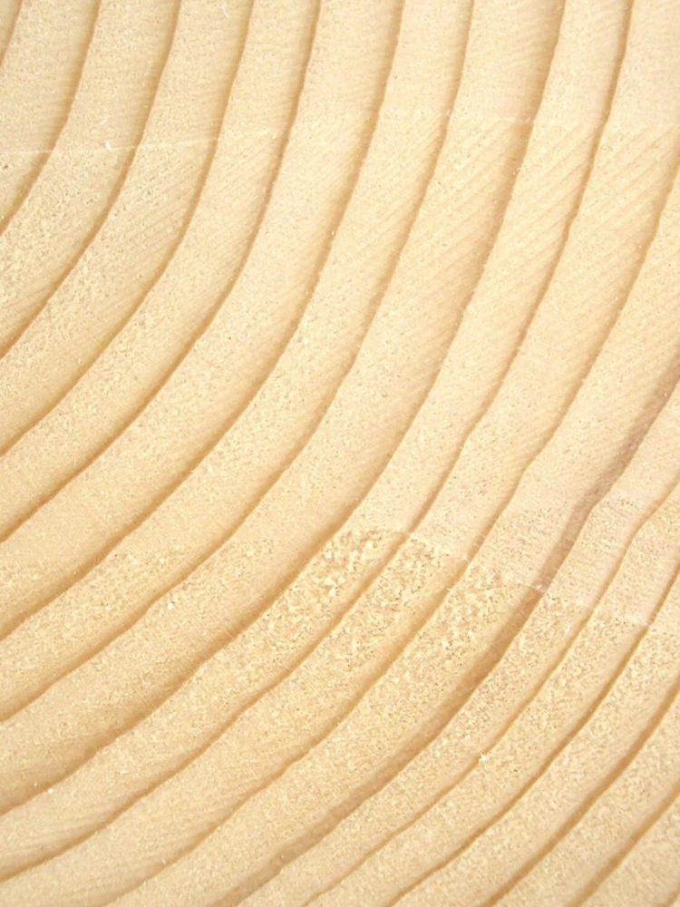 Thumbnail 4 of 4, iPhone Case, Tree Rings designed and sold by generalkrull.