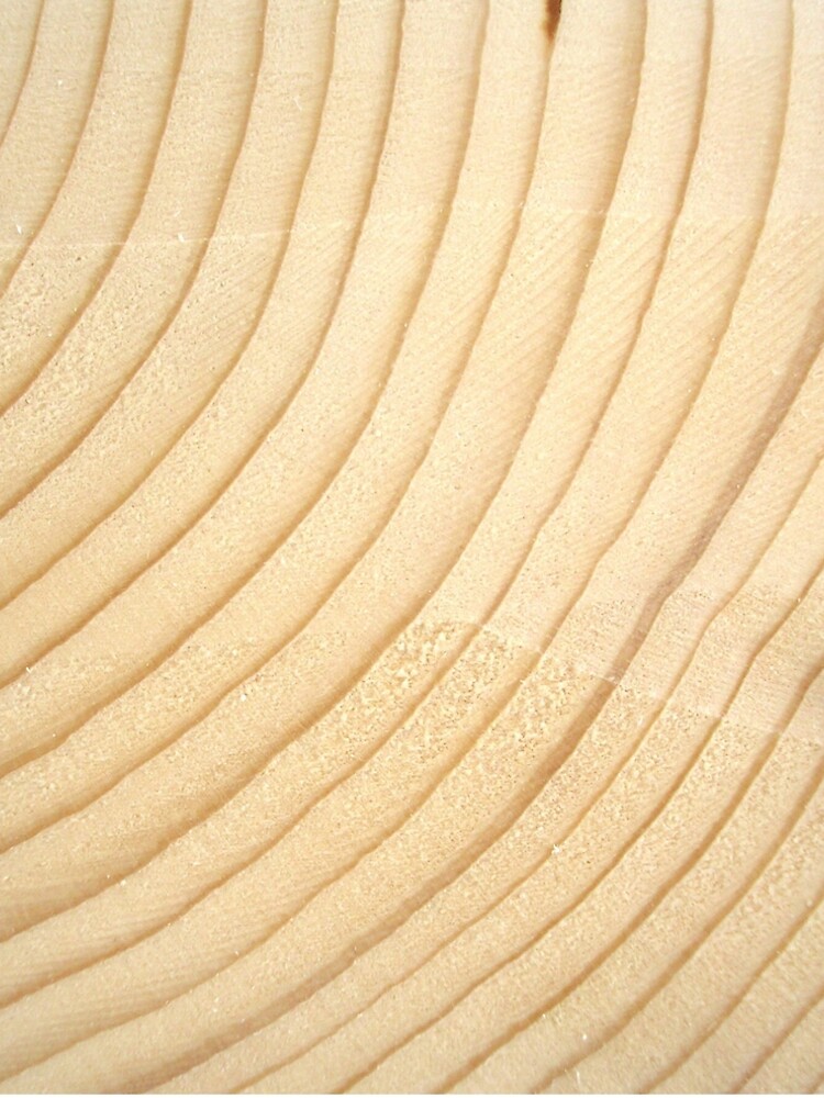 Thumbnail 5 of 5, A-Line Dress, Tree Rings designed and sold by generalkrull.