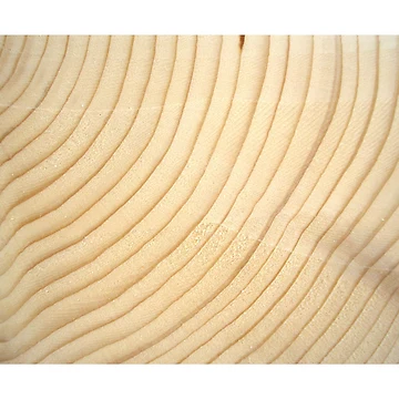 Artwork thumbnail, Tree Rings by generalkrull