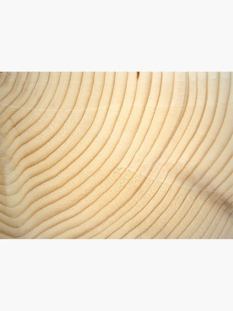 Thumbnail 3 of 3, Magnet, Tree Rings designed and sold by generalkrull.