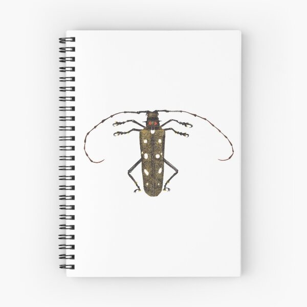 Item preview, The Insect designed and sold by Emma Tessler.