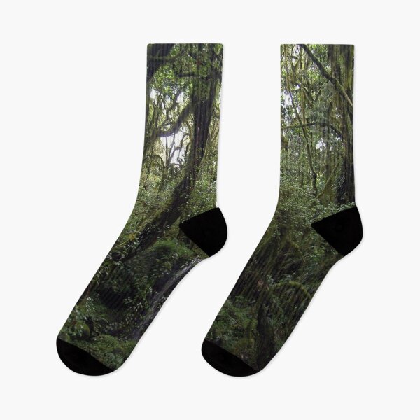Item preview, Mount kilimanjaro forest zone designed and sold by maarifa.