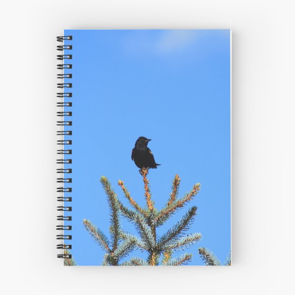 Item preview, Red Winged Blackbird Perched on a Tree designed and sold by rhamm.